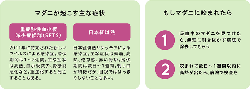 発熱 性 心 症状 因 心因性発熱かもしれないと思ったら｜ストレスと高体温｜体温と生活リズム｜テルモ体温研究所