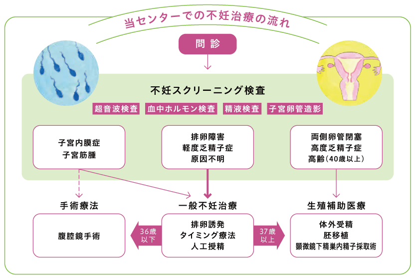 当センターでの不妊治療の流れ