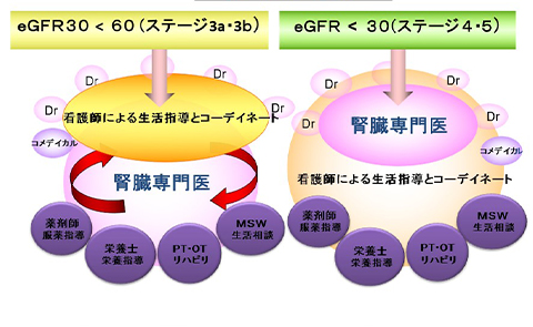 CKD院内体制