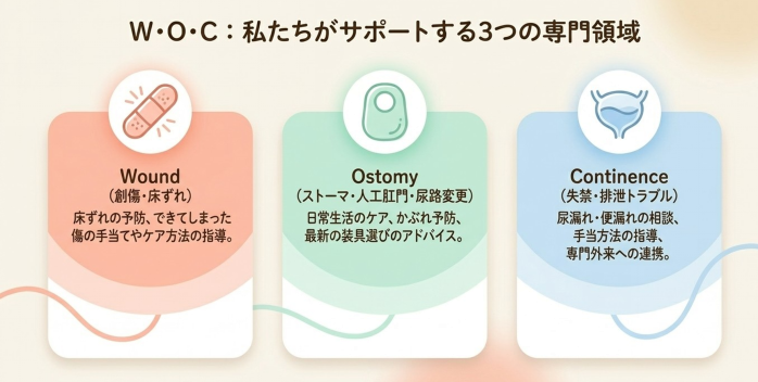 W・O・C:私たちがサポートする3つの専門領域