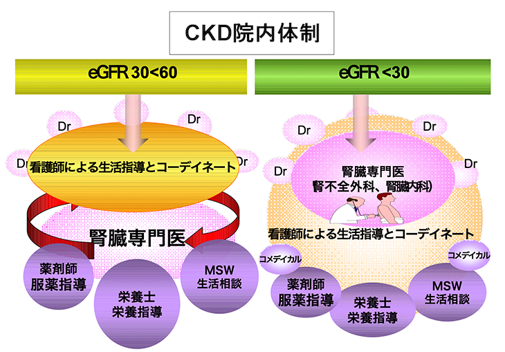 CKD院内体制