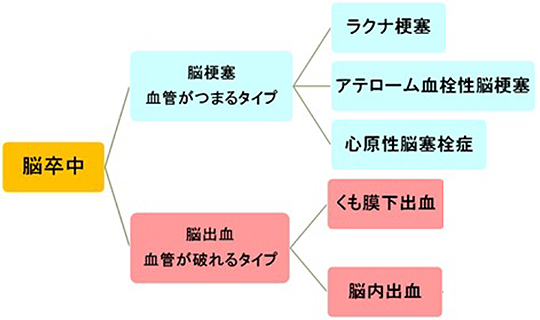 図1　脳卒中の種類