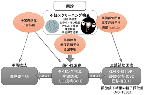 当センターを受診された不妊症カップルの診療の流れ