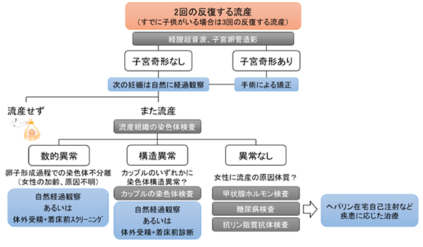 不育症カップルの診療の流れ