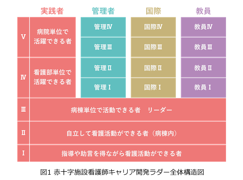 赤十字施設の看護師キャリア開発ラダー全体構造図