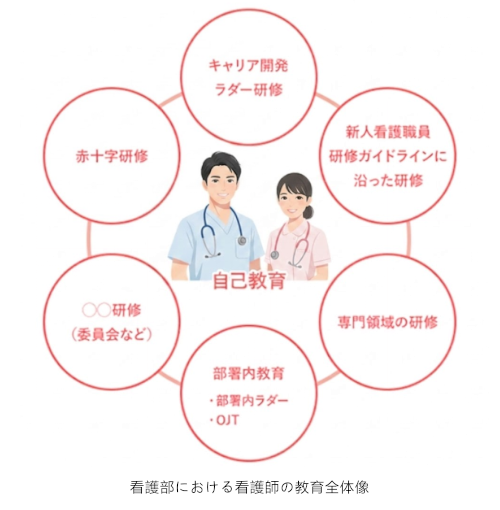 看護部における看護師の教育全体像